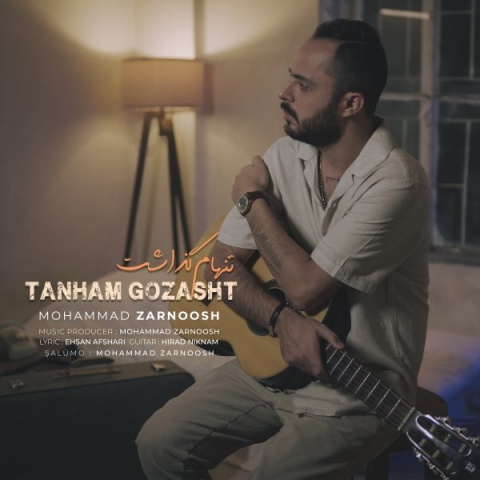 دانلود آهنگ جدید محمد زرنوش به نام تنهام گذاشت