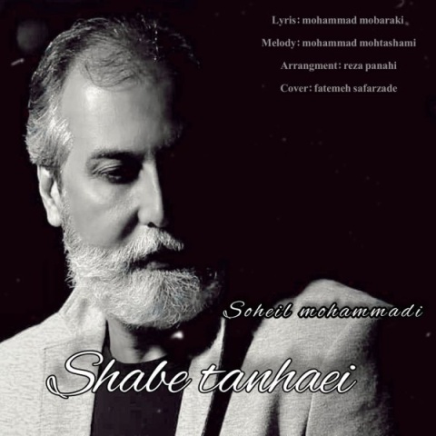 دانلود آهنگ جدید سهیل محمدی به نام شب تنهایی