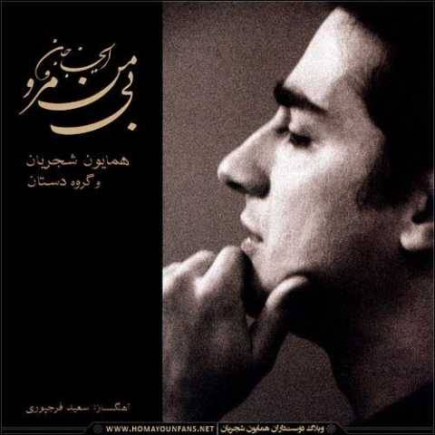 دانلود آهنگ جدید همایون شجریان به نام قطعه ضربی