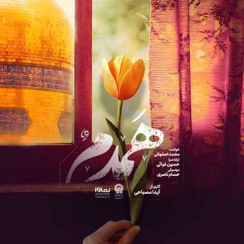 دانلود آهنگ جدید محمد اصفهانی به نام همدم