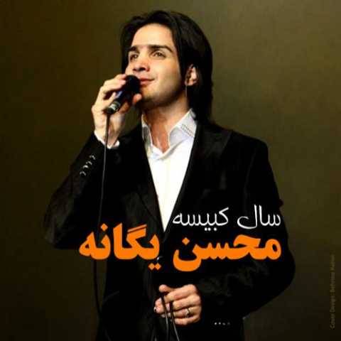 دانلود آهنگ جدید محسن یگانه و حامد هاکان به نام سرنوشت