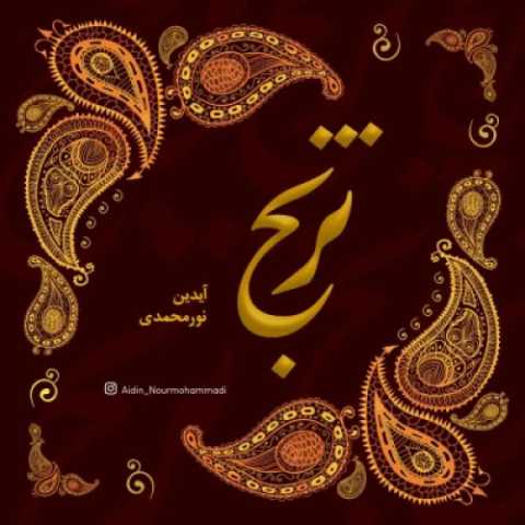 دانلود آهنگ جدید آیدین نورمحمدی به نام ترنج