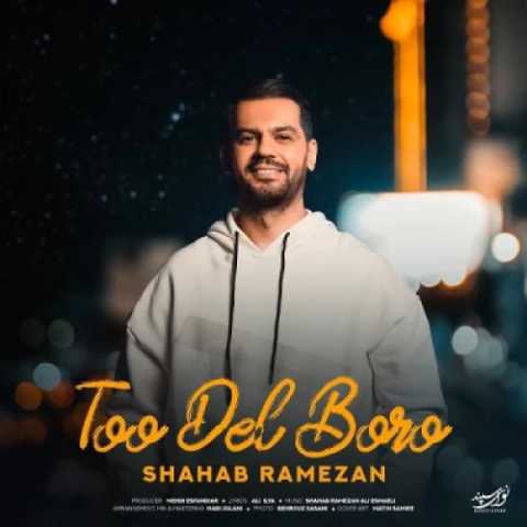 دانلود آهنگ جدید شهاب رمضان به نام تو دل برو