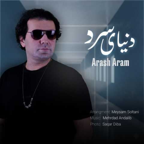 دانلود آهنگ جدید آرش آرام به نام دنیای سرد
