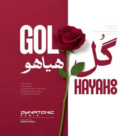 دانلود آهنگ جدید فریدون آسرایی به نام گل هیاهو (دایناتونیک ریمیکس)